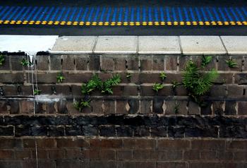 �齫������ѵ��Ƶ�������Ĳ����ҹ��׸��������䳡 �ɷ������ͻ��...